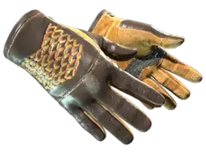 Rijhandschoenen _ Overtake