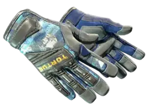 Speciale handschoenen _ Mogul