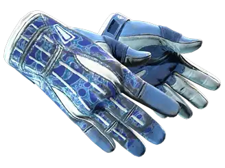 Sporthandschoenen _ Amphibious