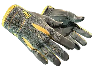 Sport Handschoenen _ Omega